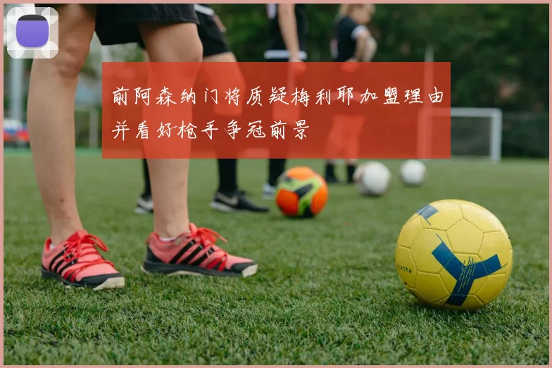 前阿森纳门将质疑梅利耶加盟理由并看好枪手争冠前景